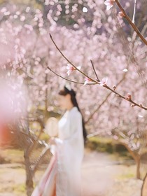 三生三世十里桃花白墨梅渊