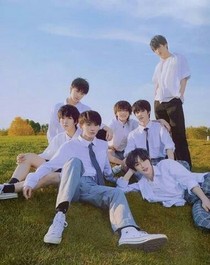 TNT：愿照泽熙盈