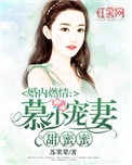 婚内燃情:慕少宠妻甜蜜蜜