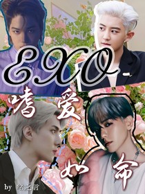 EXO:嗜爱如命