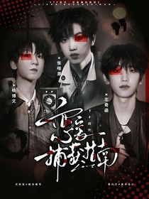 TF四代:恋爱捕获指南