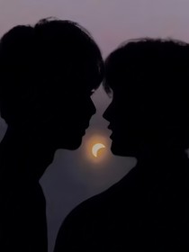 祺鑫:蓝桉又遇释槐鸟