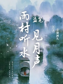 盗笔:雨村听水见月声
