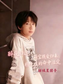 醉夜归途,萌宝携爱归来:杨先生的命中注定