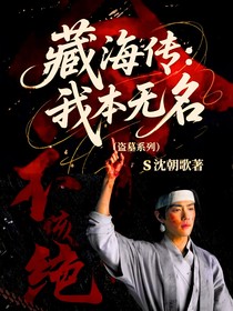 藏海传:我本无名(盗墓系列)