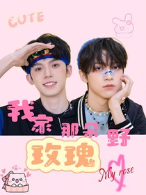 航润:我家那朵野玫瑰