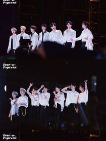 TNT：宝贝娇又软