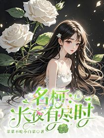 名柯：长夜有尽时