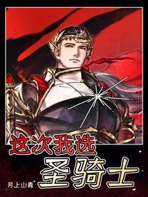 这次我选圣骑士