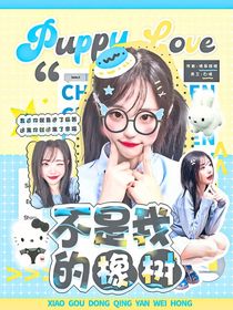 BoysPlanet:不是我的橡树