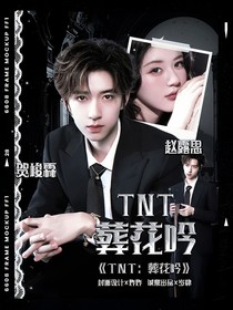 TNT:葬花吟