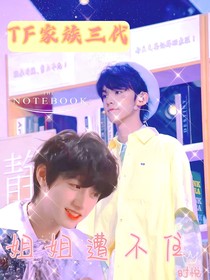 TF三代:姐姐遭不住