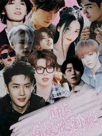 NPC:内娱男神收割机