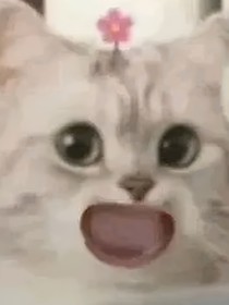 朝拟人：祖宗们的小日常