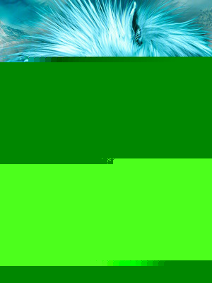 吞噬星空:天狼之主